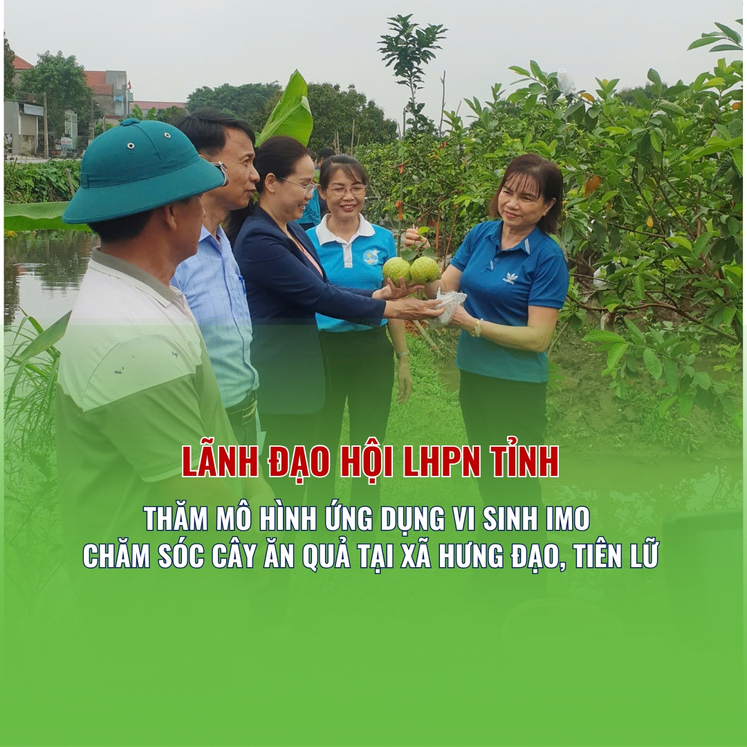 SỬ DỤNG VI SINH BẢN ĐỊA IMO  – CÁCH LÀM  GIÚP PHỤ NỮ HƯNG YÊN NÂNG CAO GIÁ TRỊ CÂY TRỒNG